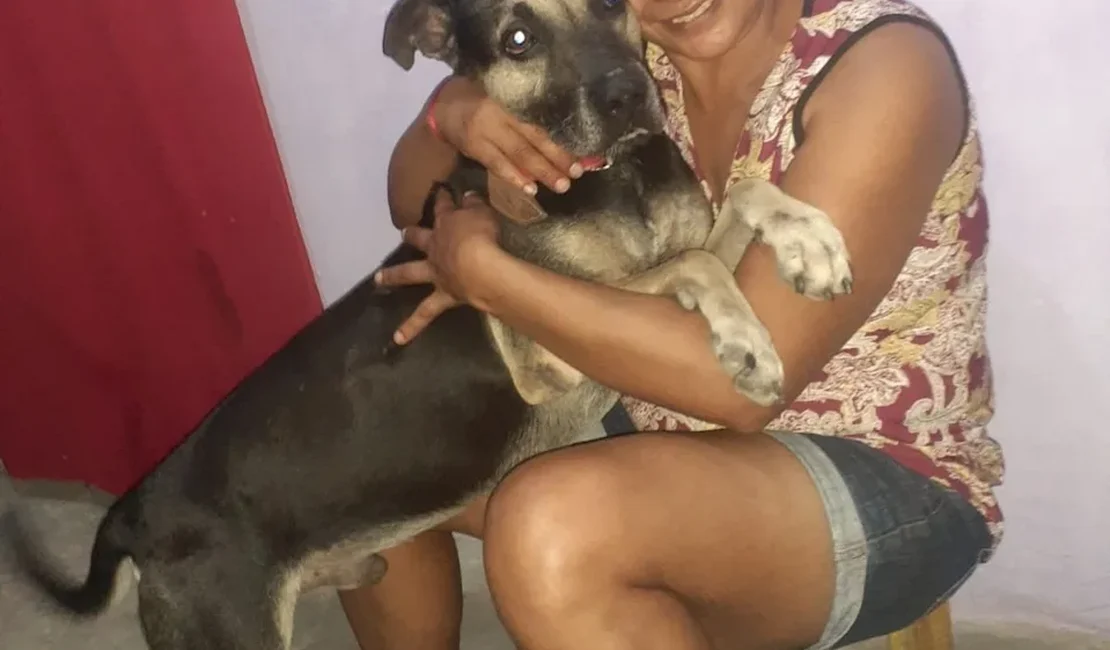 Cão viaja cinco dias para reencontrar tutora no Ceará