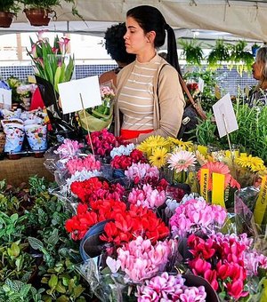Maceió recebe a 15ª edição do Festival das Flores de Holambra nesta quinta-feira (2)