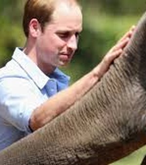 Príncipe William é criticado ao levar George, de 7 anos, para caçar animais