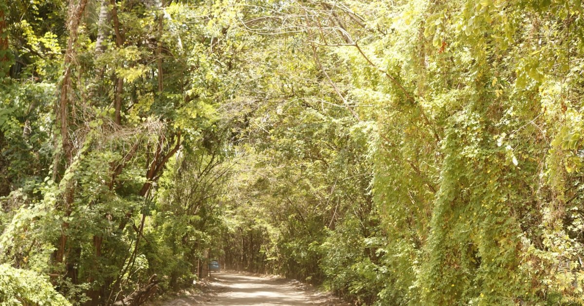 Imagens de caminhão bem lindos - Imagens para Whatsapp