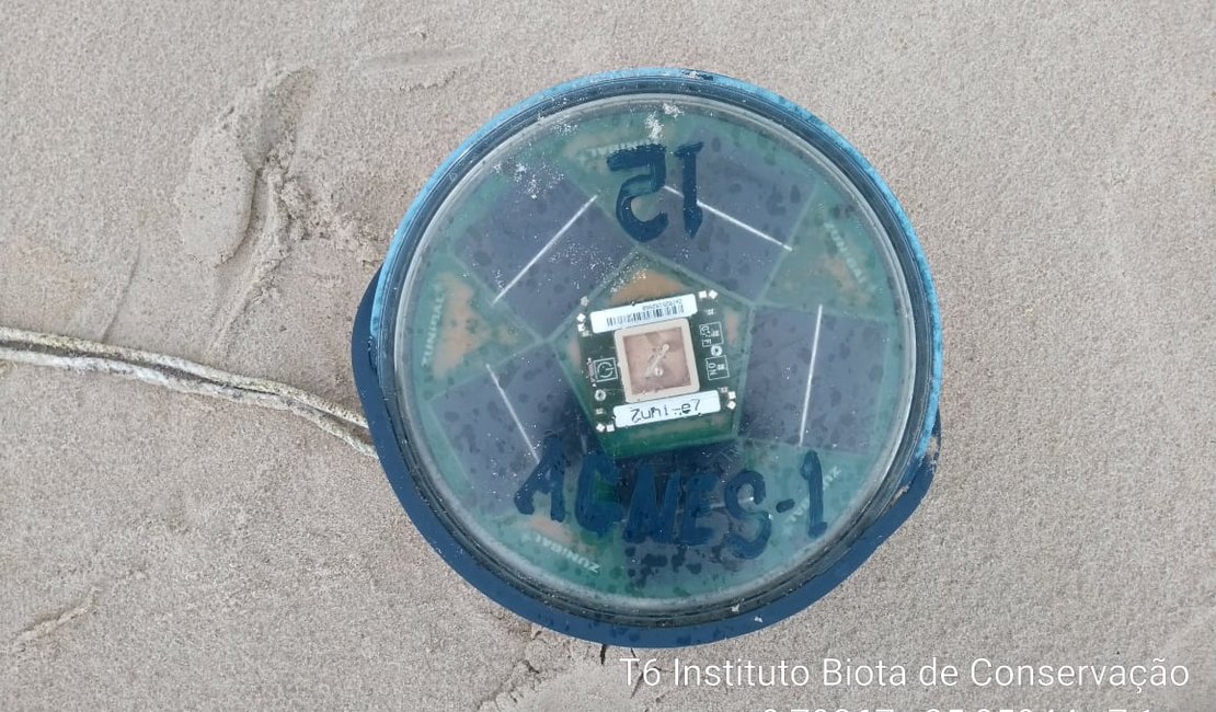 Mais um dispositivo de pesca ilegal é encontrado na praia do Francês
