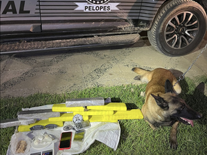 Polícia estoura boca de fumo em Delmiro graças ao trabalho de cão farejador