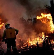 Amazônia: agricultores causam maioria das queimadas, e não índios