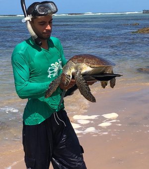 Moradores resgatam tartarugas no bairro da Graça Torta