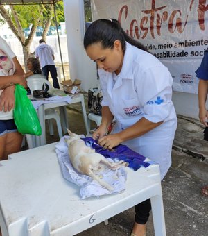 Em Penedo: Programa Castra Pet realiza castração de 40 cães e gatos