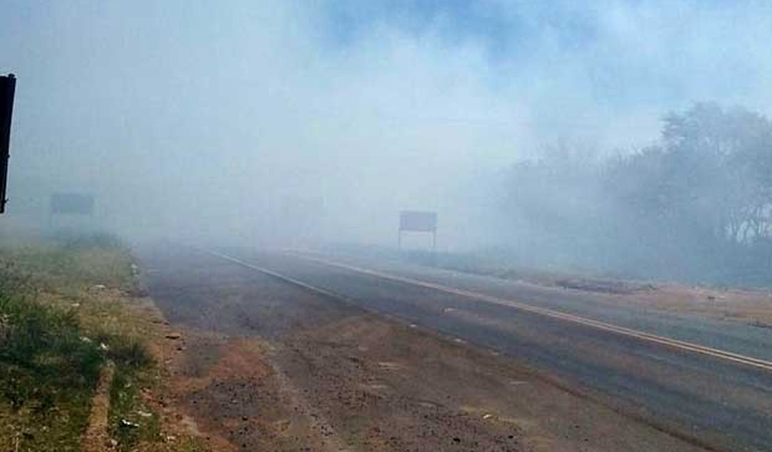 Incêndio assusta motoristas na BR-104 nas proximidades de Murici