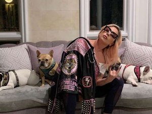 Ladrão armado atira em assistente e rouba cachorros de Lady Gaga