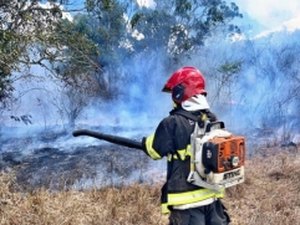 Bombeiros registram mais de 1.300 incêndios em Alagoas de janeiro de 2020 a novembro de 2021