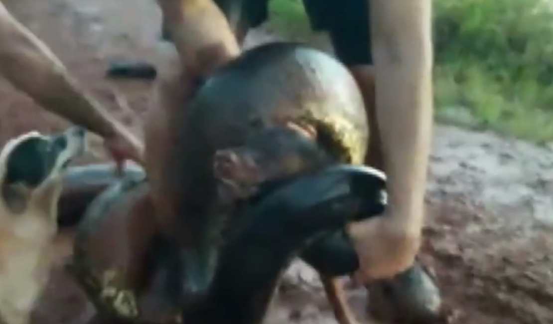 Cachorro é atacado por sucuri e homens abrem a boca da cobra para o salvar