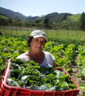 Alagoas sedia encontro nacional sobre assistência técnica para agricultura familiar