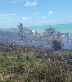 Queima de lixo provoca incêndio em vegetação em Japaratinga