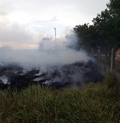 Bombeiros são acionados para incêndio em vegetação na cidade de Arapiraca
