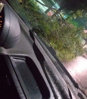 Fortes chuvas voltam a causar transtornos em Alagoas 