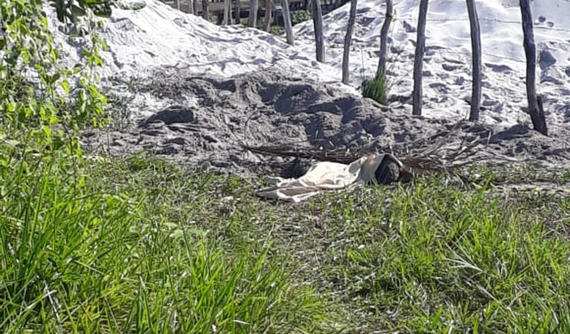 Três corpos são encontrados enterrados em Maragogi