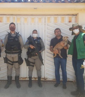 Cadela é resgatada de maus-tratos em cárcere privado em Coruripe