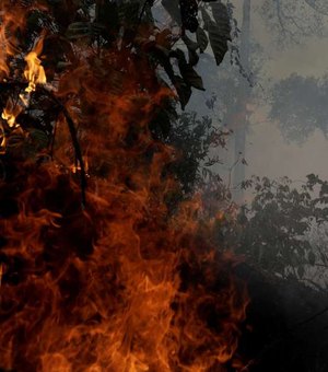 Após proibição de queimadas, Amazônia segue pegando fogo
