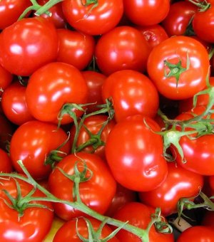 IPCA: tomate é o “vilão” da alta em novembro; confira preços em Maceió