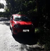 Árvore cai e atinge carro na AL 215, em Pilar 