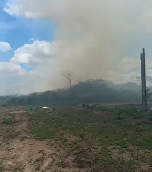 Vegetação pega fogo e chamas se alastram em terreno na região do Distrito Industrial de Arapiraca