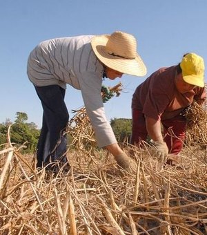 Projeto do PSDB propõe abolição de pagamento em dinheiro para trabalhador rural