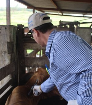 Raiva Animal: Adeal alerta sobre a importância da vacinação dos animais