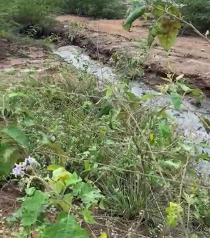 [Vídeo] Fiscalização flagra descarte irregular de resíduos químicos na Mineradora Vale Verde