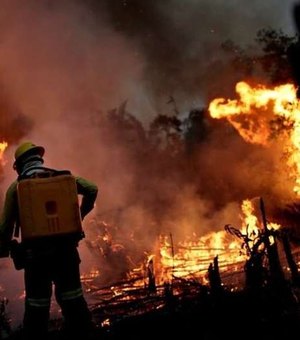 Amazônia: agricultores causam maioria das queimadas, e não índios