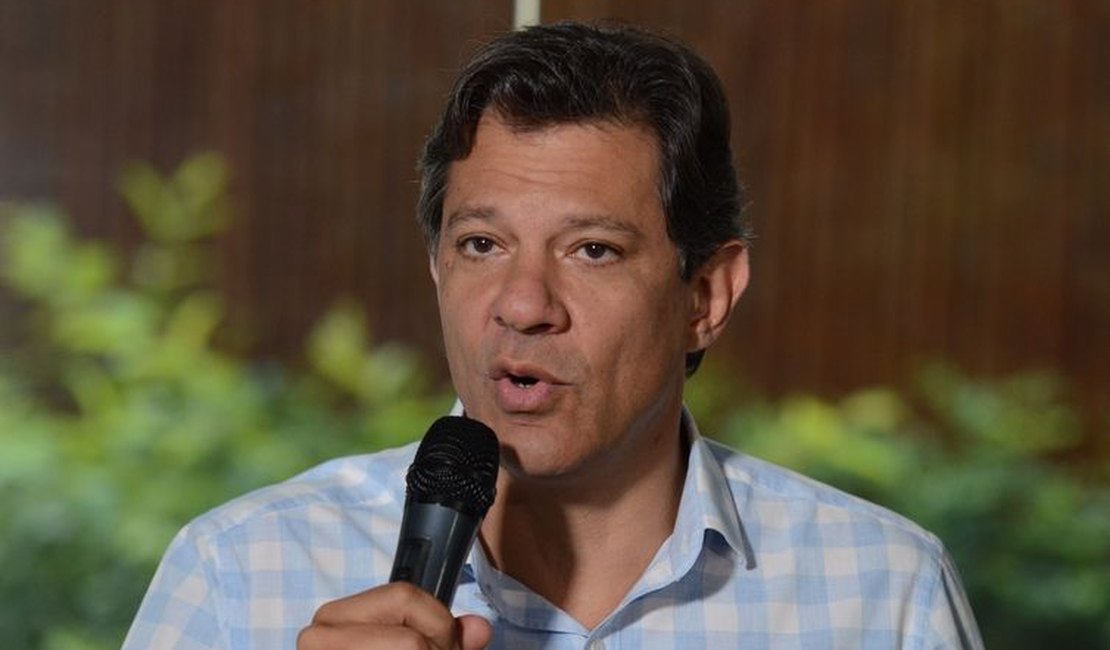 Não pode torcer contra governo Bolsonaro para 'ganhar o poder', diz Haddad