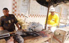 Feira do Peixe movimenta economia local em Maragogi