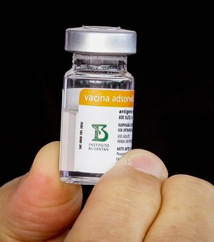 Coronavac é responsável por 70% da imunização dos maceioenses