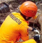 Bombeiros resgatam égua que caiu em fossa no município de Arapiraca