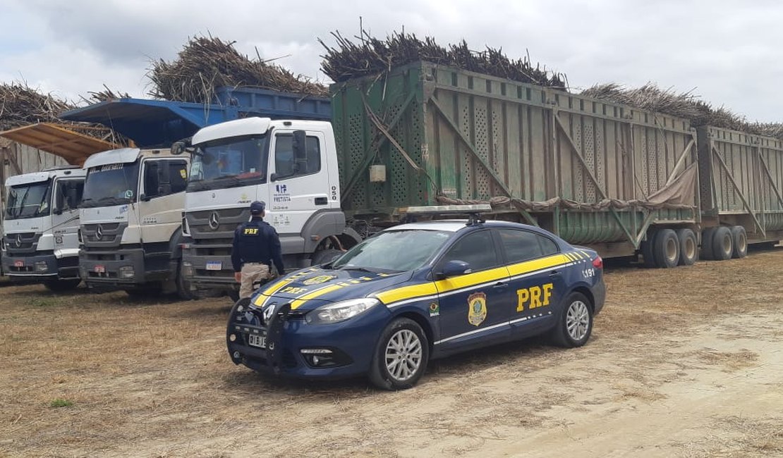 PRF realiza fiscalização de caminhões canavieiros em rodovia alagoana