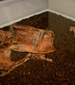 Homem confessa assassinato, mas corpo achado tinha 1.600 anos de idade