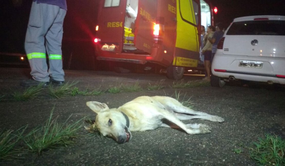[Vídeo] Duas pessoas ficam feridas e cachorro morre após colisão 