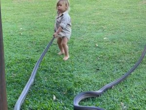 Bebê australiano puxa cobra de 2 metros para fora do jardim