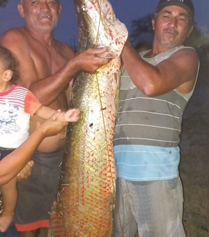 Pescador captura pirarucu de 53kg em Santana do Ipanema