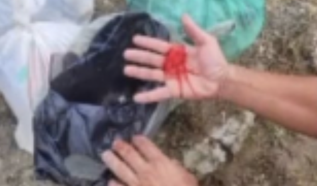 Coletor de lixo tem a mão perfurada por objeto cortante descartado incorretamente em Penedo