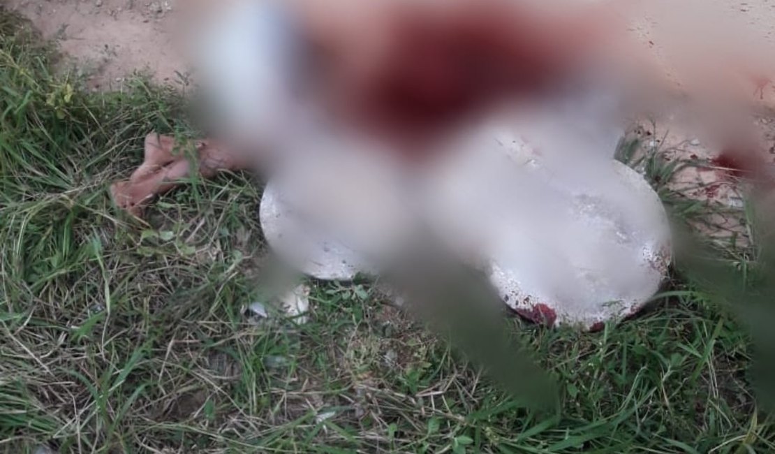 Suspeito de estuprar e matar adolescente é morto por apedrejamento em Maceió