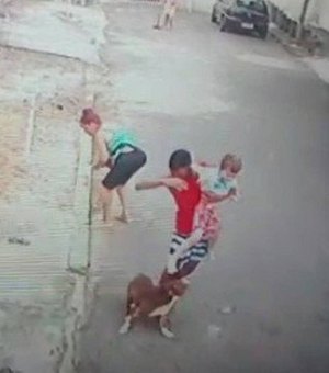 Vídeo: Jovem salva criança de ataque de pitbull no Rio de Janeiro