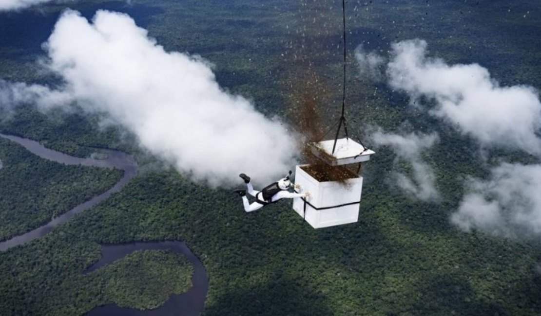 [VIDEO] Paraquedista lança mais de 100 milhões de sementes em área desmatada da Amazônia