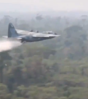 Forças Armadas começam a combater incêndios na Amazônia