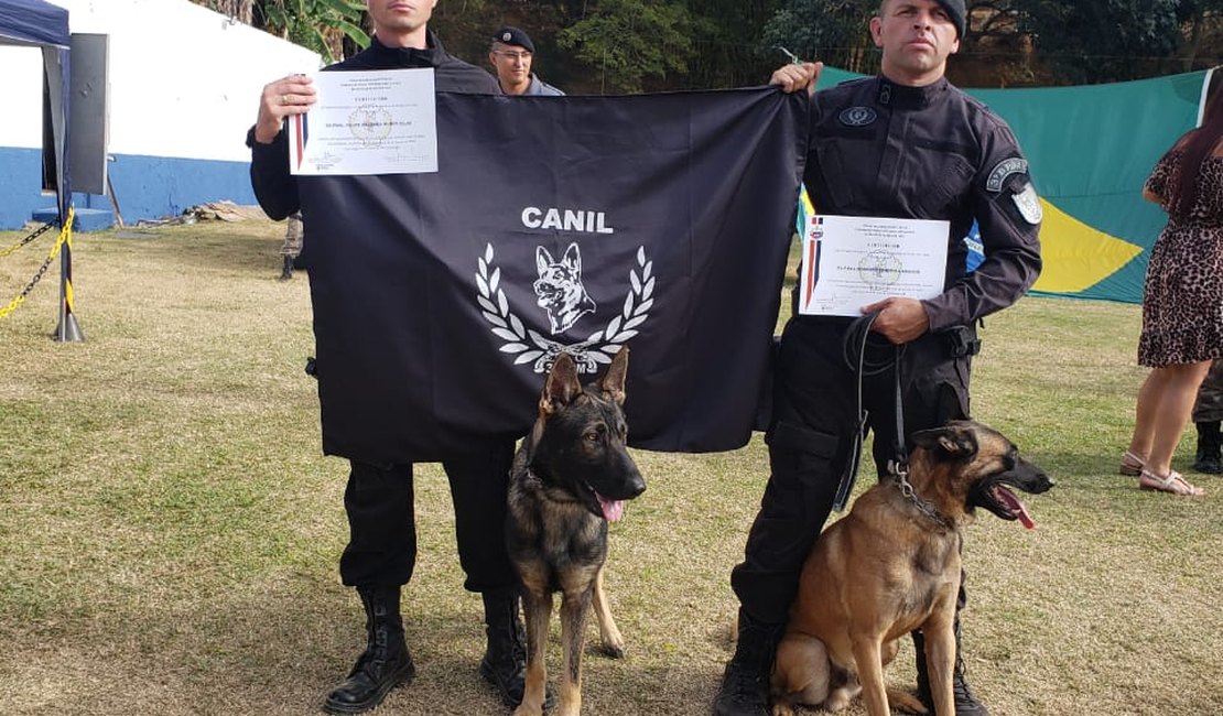 Policiais militares do 3º BPM de Arapiraca concluem curso de especialização com cães no Espírito Santo