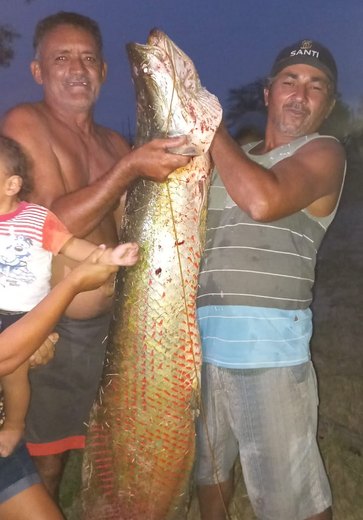 Pescador captura pirarucu de 53kg em Santana do Ipanema