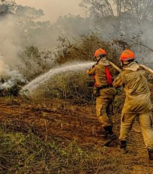 Amazônia registra maior número de queimadas desde junho de 2007