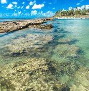 IMA: trechos de praias do litoral alagoano estão impróprios para banho