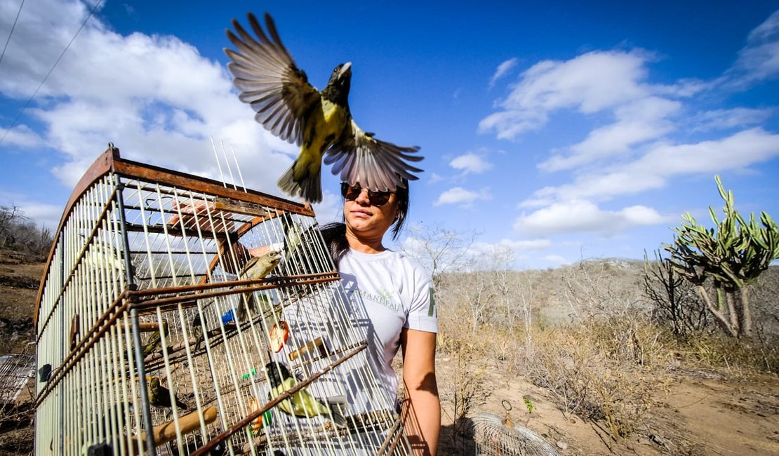 FPI devolve mais 343 animais silvestres à Caatinga