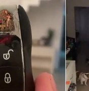 Naiara Azevedo se desespera após cachorra destruir chave de Porsche