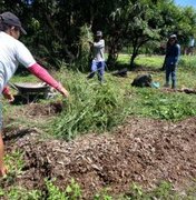 Prefeitura de Arapiraca transforma sobras de podas das árvores em adubo para jardinagem