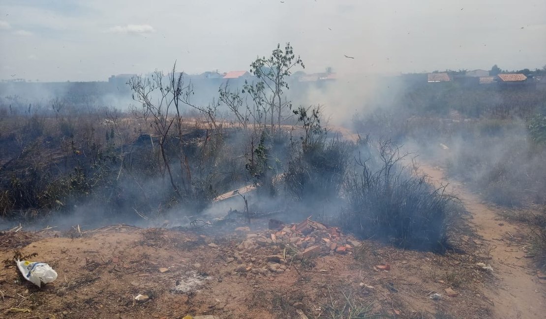 [Vídeo] Fogo em vegetação é registrado no bairro Canafístula, em Arapiraca