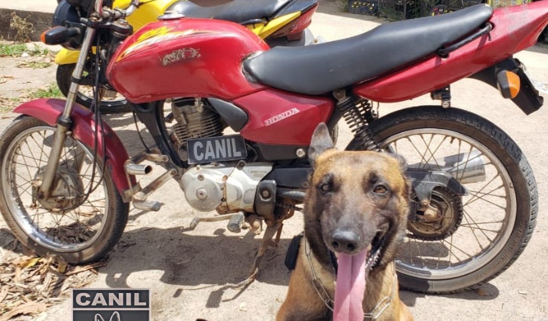 Após perseguição, adolescentes são apreendidos com motocicleta roubada em Arapiraca